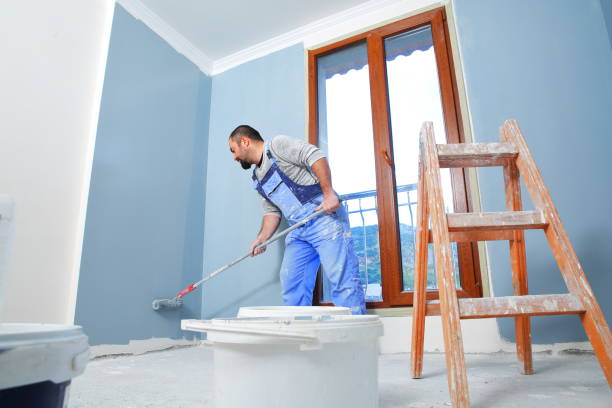 Mold Odor Removal Services in Hawley, MN