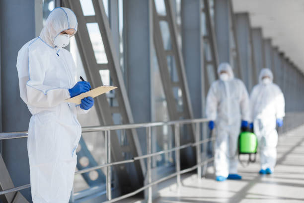 Best Air Quality Testing for Mold Spores  in Hawley, MN